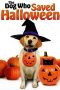 The Dog Who Saved Halloween