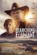 Searching for the Elephant (2024)